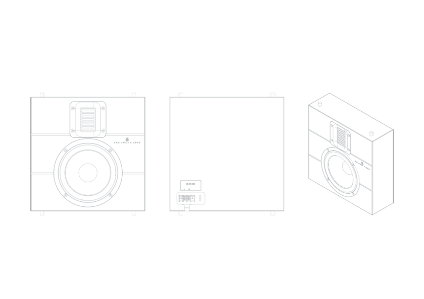 Schematic representation of the Steinway & Sons IW-16 built-in speaker in various projections