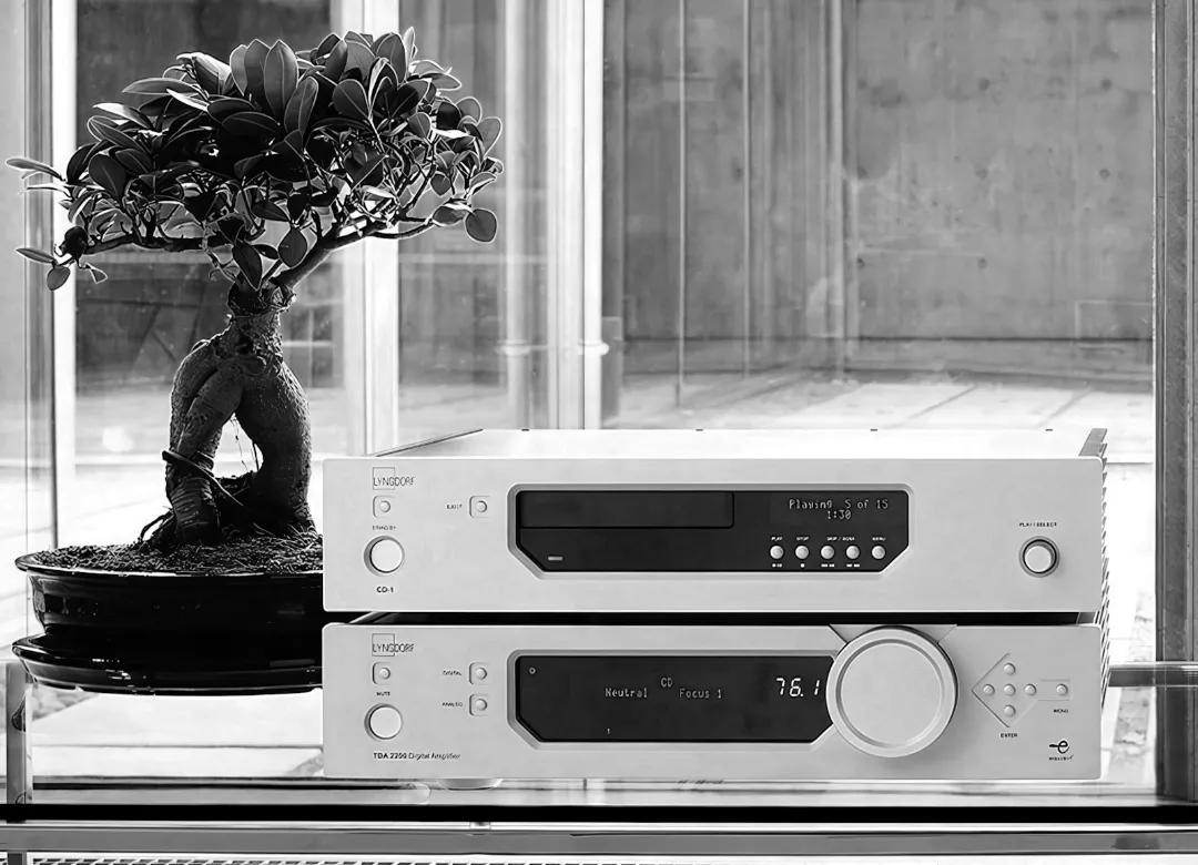 Програвач компакт-дисків Lyngdorf CD-1 розміщений на інтегрованому підсилювачі Lyngdorf TADI-2200; позаду стоїть дерево бонсай