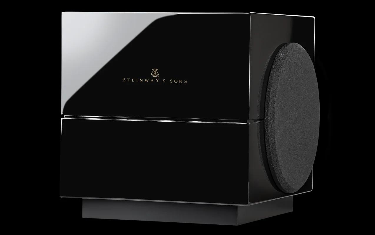 Model S-210 Woofer with glossy black finish